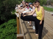 Stage de Qi Gong en Ardèche