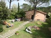 Stage de Qi Gong en Toscane